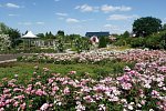Santé Royale Hotel- und Gesundheitsresort Bad Langensalza