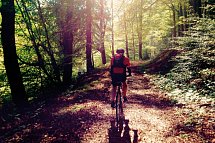 Hotel Brauhaus zum Löwen - Radfahren im Thüringer Wald