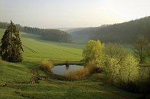 Hotel Rodebachmühle - Landschaft Thüringer Wald