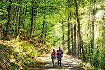 Ferien Residenz Thüringer Wald