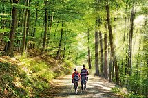 Ferien Residenz Thüringer Wald - Thüringer Wald