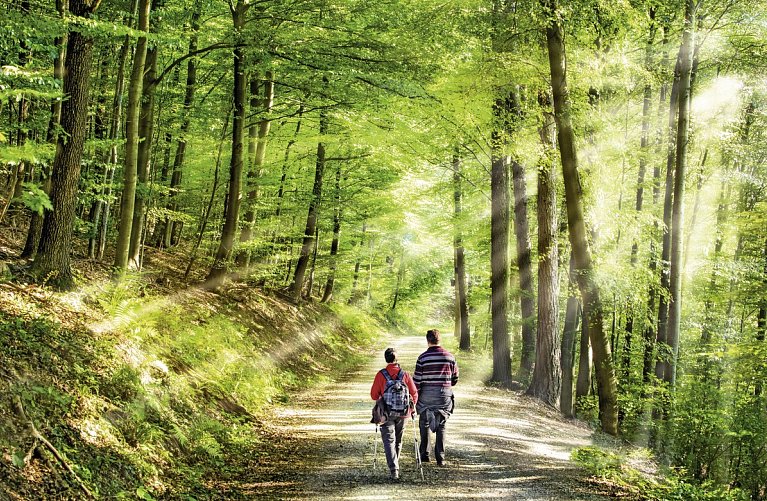 Ferien Residenz Thüringer Wald