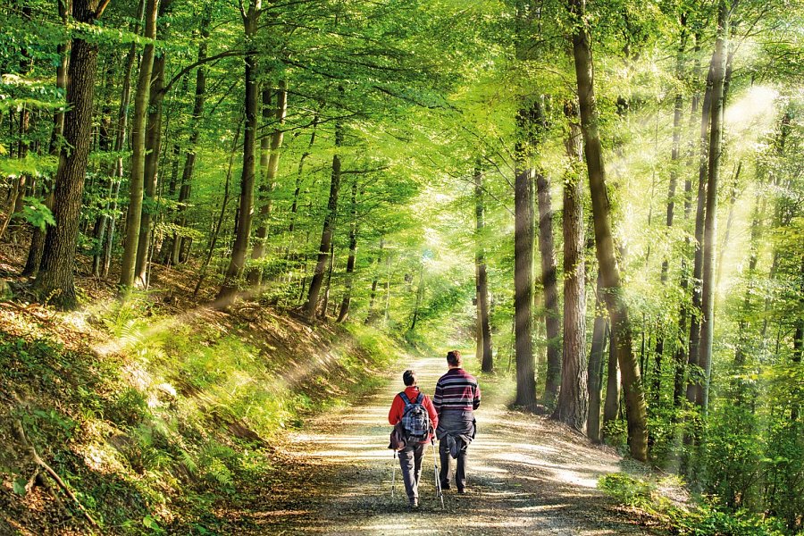 Ferien Residenz Thüringer Wald - Thüringer Wald