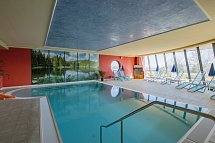 Ferien Residenz Thüringer Wald - Innenpool des Hotels