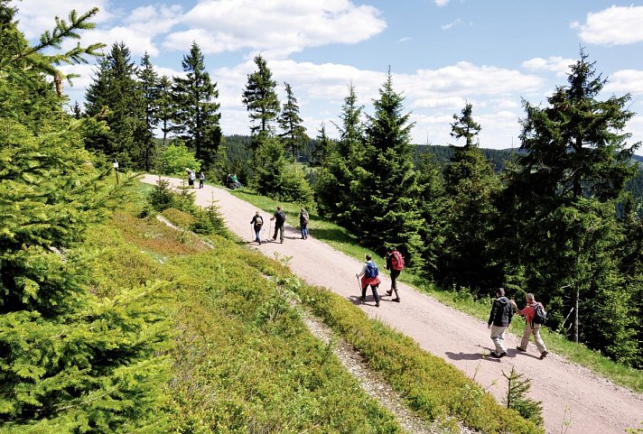 Werrapark Resort Hotel Frankenblick - Rennsteig Wanderweg