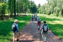 AHORN Berghotel Friedrichroda - Wandern