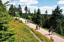 AHORN Berghotel Friedrichroda - Rennsteig Wanderweg