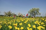 Bodensee-Radtour ab/bis Friedrichshafen