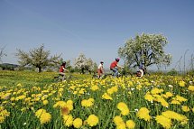 Bodensee-Radtour ab/bis Friedrichshafen - Fahrradtour