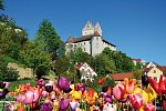 Bodensee-Radtour ab/bis Friedrichshafen