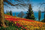 Bodensee-Radtour ab/bis Friedrichshafen