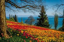 Bodensee-Radtour ab/bis Friedrichshafen - Insel Mainau