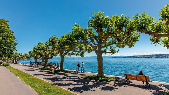 Bodensee-Radtour ab/bis Friedrichshafen