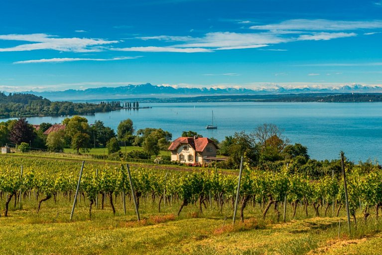 Bodensee Hotel Kreuz - Bodenseeblick bei Uhldingen-Mühlhofen