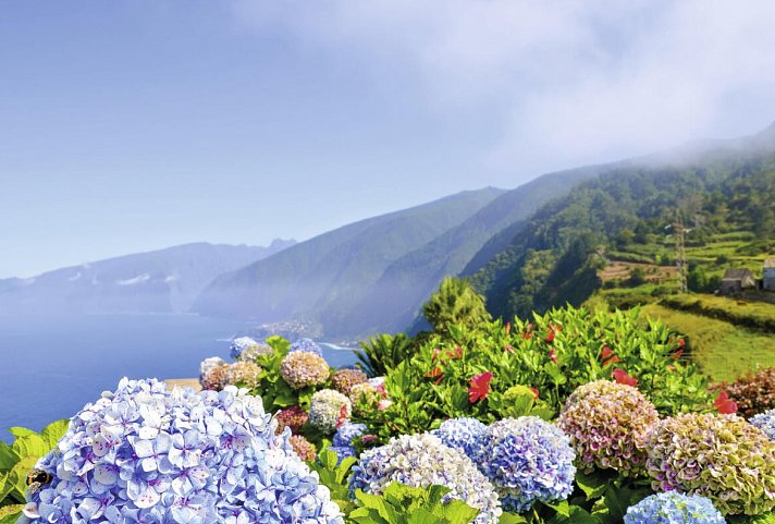 Hotel The Views Oasis - Madeira - Nordküste