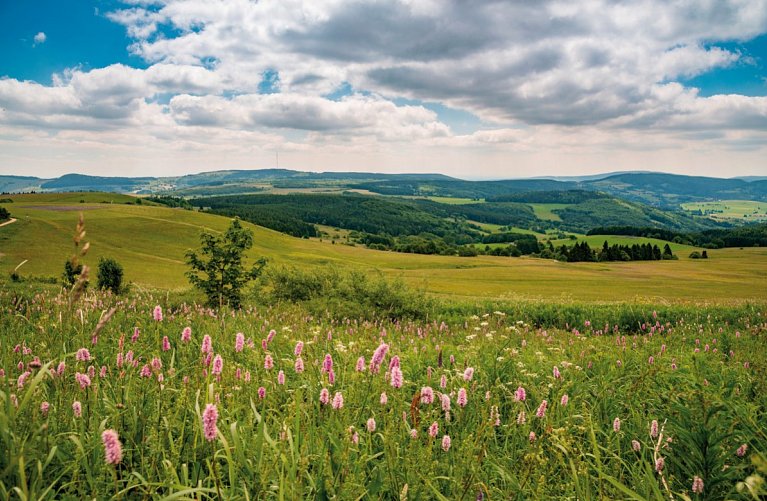 Hotel Gersfelder Hof