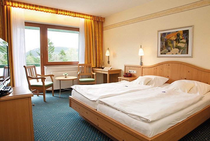Wald Hotel Willingen - Wald Hotel Willingen, Beispiel Doppelzimmer Junior (DB8)