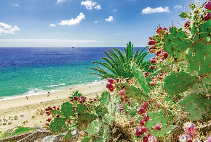 Esencia de Fuerteventura by Princess Hotels