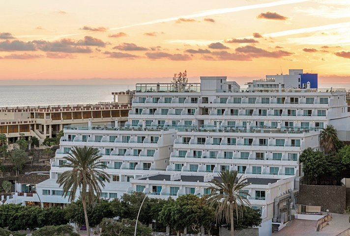 FERGUS Cactus Garden