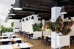Hotel Wellness & Spa Rezydencja Bielik