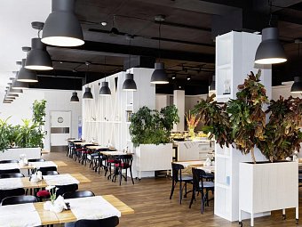 Hotel Wellness & Spa Rezydencja Bielik - Restaurant