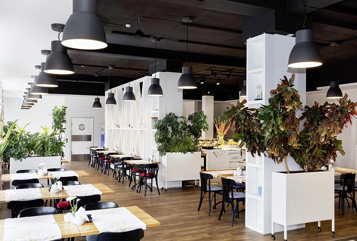 Hotel Wellness & Spa Rezydencja Bielik - Restaurant