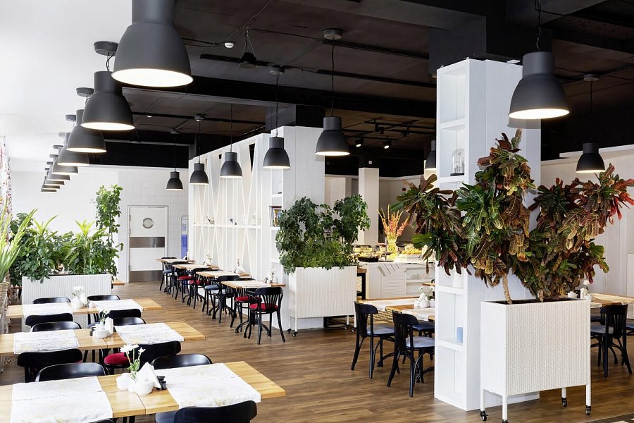 Hotel Wellness & Spa Rezydencja Bielik - Restaurant