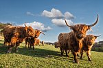 Schottland Rundreise