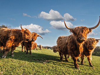 Schottland Rundreise