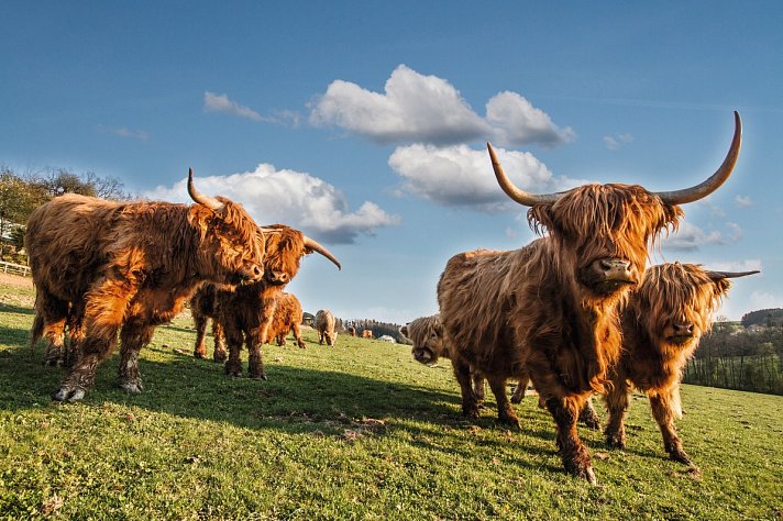 Schottland Rundreise