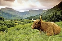 Kreuzfahrt Island & Schottland inkl. Parkplatz - Highlands