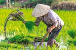 Vietnam Rundreise & Baden