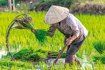 Vietnam Rundreise & Baden