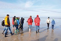 Boutique-Hotel Zur alten Post - Wattwanderung