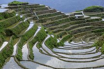 Hongkong und China Kombireise - Reisterrassen Longji