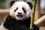 Hongkong und China Kombireise