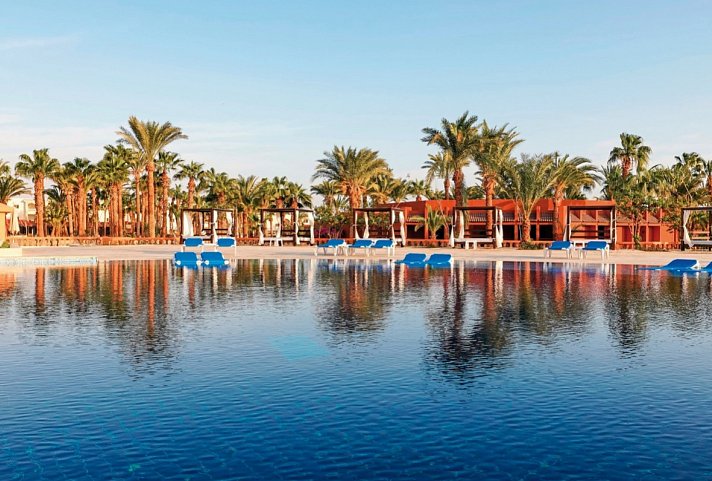 Calimera Blend Paradise