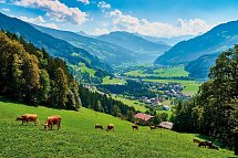 Gasthof zum Löwen - Mayrhofen im Zillertal