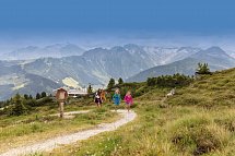 Gasthof zum Löwen - Familie beim Wandern