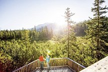 Hotel Alpina Resort