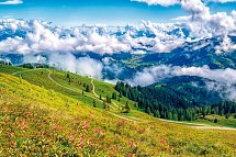 Schneeberger - Wildschönau