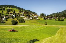 Schneeberger - Wildschönau
