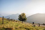 Standort-Wanderreise „Kitzbüheler Alpenpanorama“