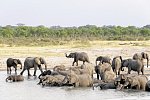 Große Afrika Rundreise
