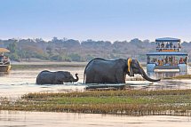 Große Afrika Rundreise - Chobe Nationalpark