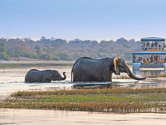 Große Afrika Rundreise - Chobe Nationalpark