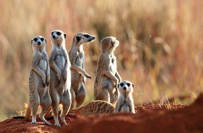 Große Afrika Rundreise