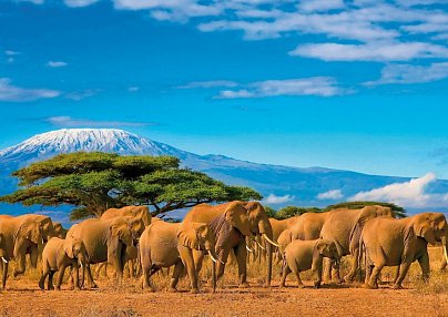 Tansania & Kenia Rundreise mit Baden Kilimandscharo-Nationalpark