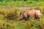 Nepal & Indien Rundreise