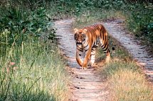 Nepal & Indien Rundreise - Chitwan Nationalpark
